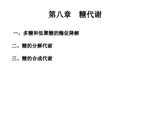 八章糖代谢ppt课件