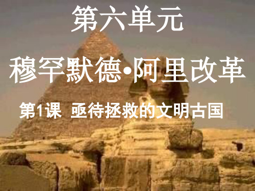 人民版选修一亟待拯救的文明古国课件21张