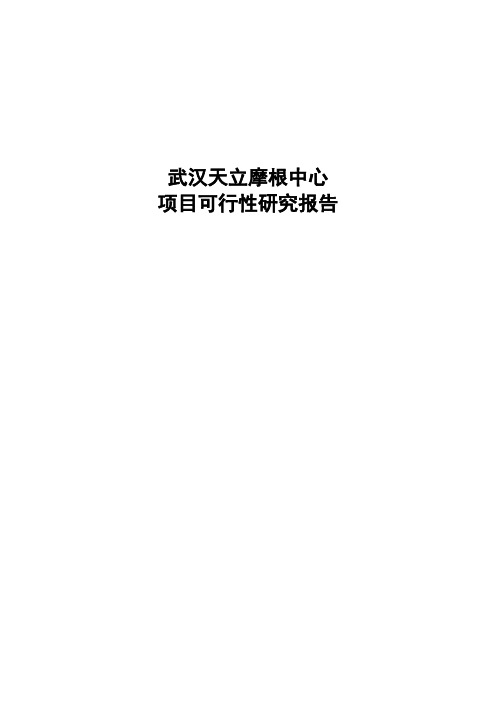 武汉天立摩根中心商业项目可行性研究报告