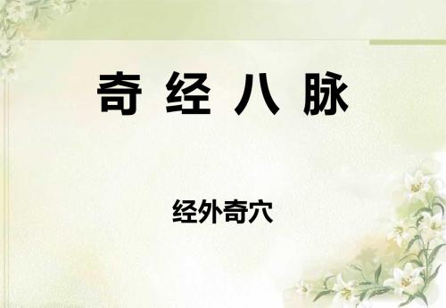 经络腧穴学(含穴名释义)-经外奇穴