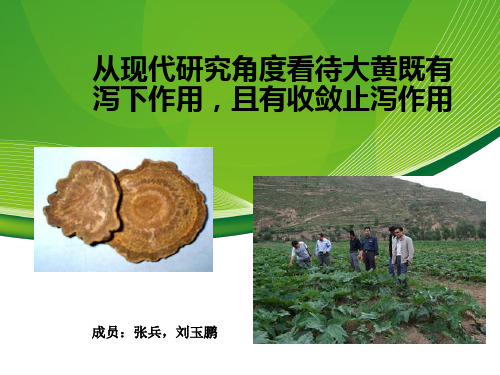 从现代研究角度看待大黄即有泻下作用