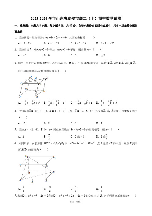 2023-2024学年山东省泰安市高二(上)期中数学试卷【答案版】