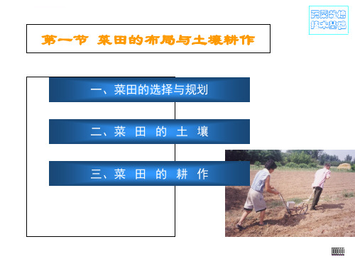 蔬菜种植技术培训ppt课件.ppt
