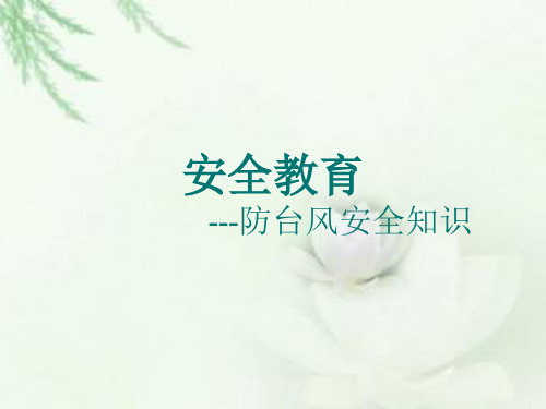 防台风安全教育