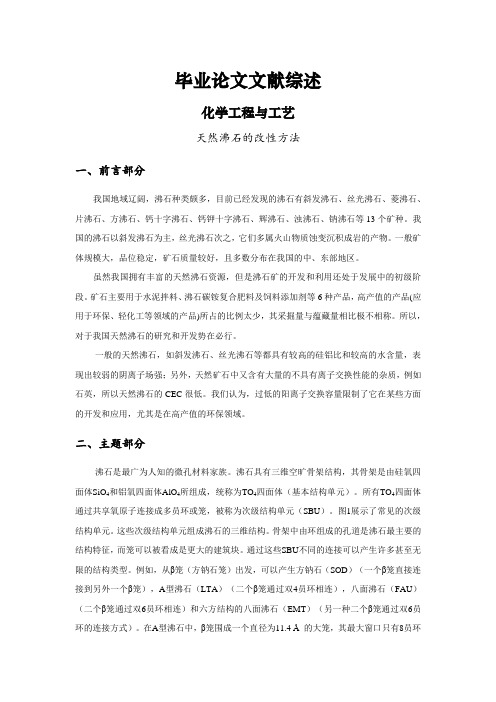 天然沸石的改性方法【文献综述】