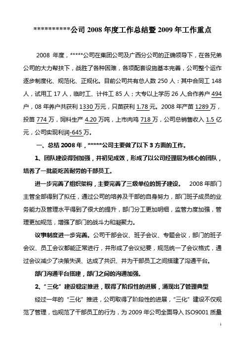 陆川公司 2008年总结及09年工作计划(董事会)