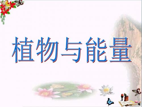 六年级科学上册第9课植物与能量 精选教学PPT课件2冀教版