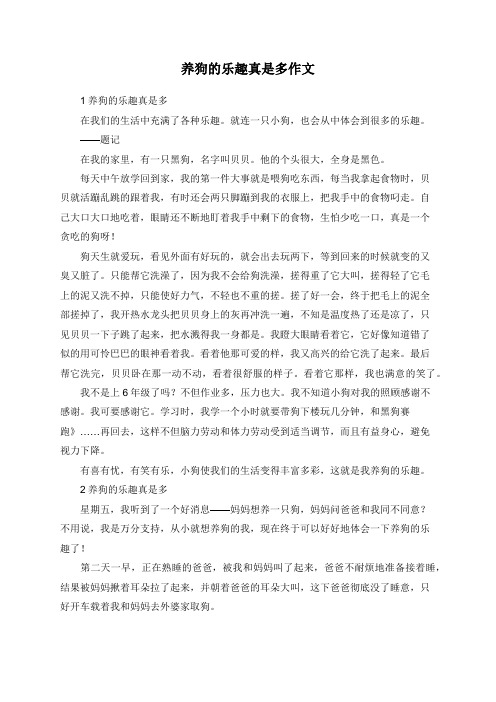 养狗的乐趣真是多作文
