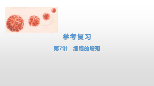 学考复习7细胞的增殖课件【新教材】浙江高考生物学考复习(浙科版)