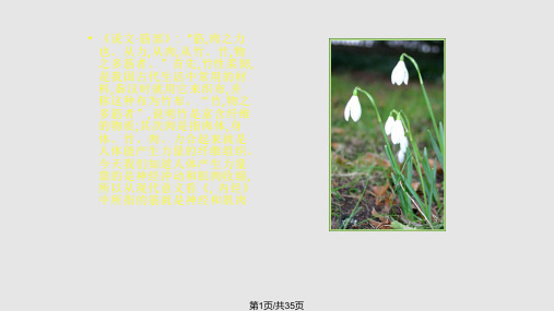 经筋理论PPT课件