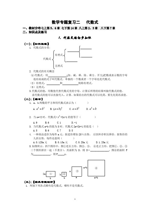 数学专题复习代数式知识点及专题训练