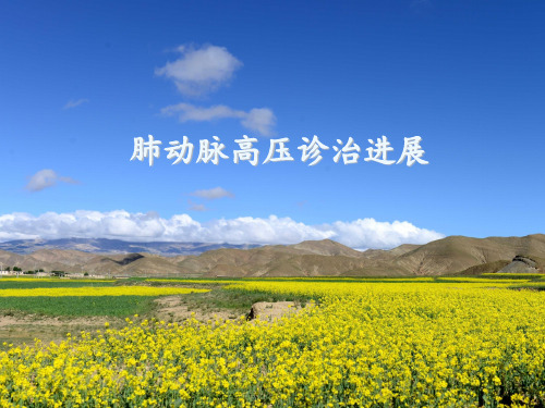 肺动脉高压与右心导管检查 ppt课件
