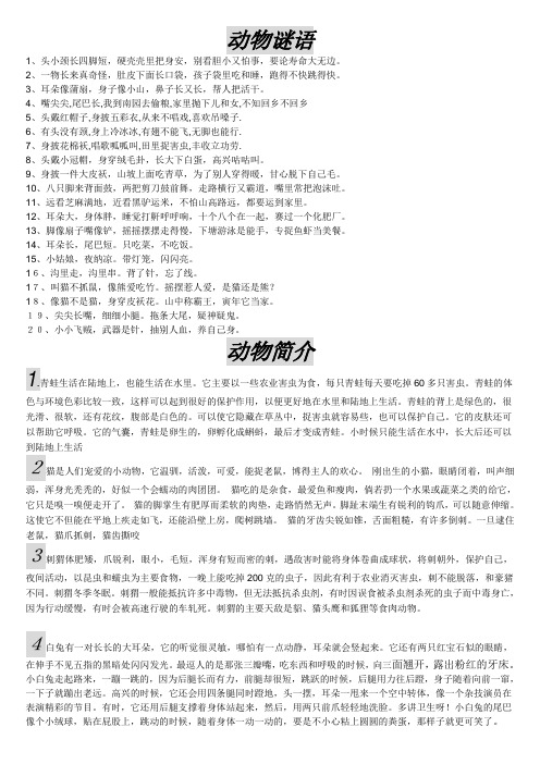 动物资料