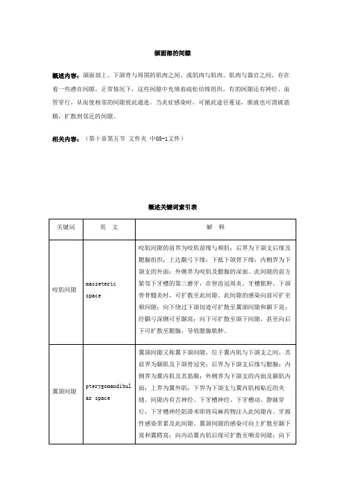 颌面部的间隙