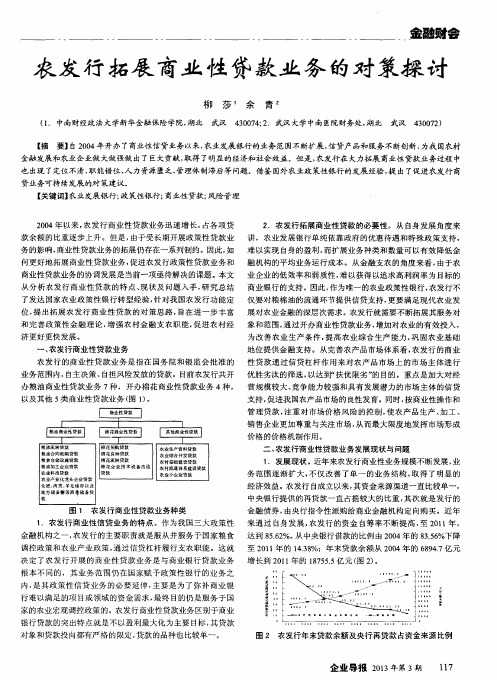 农发行拓展商业性贷款业务的对策探讨