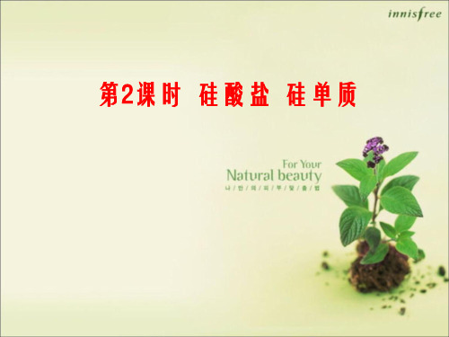 《硅酸盐  硅单质》课件(2019)