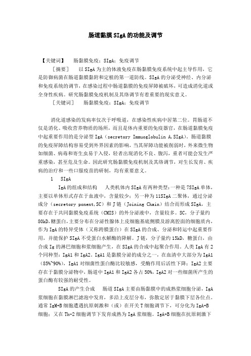 肠道黏膜SIgA的功能及调节