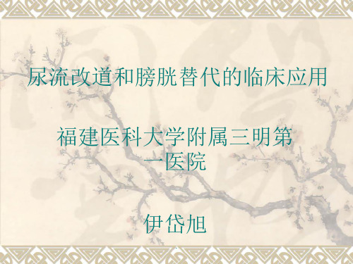 尿流改道的发展趋势ppt课件