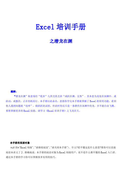 Excel培训手册之潜龙在渊-飞龙在天--小本秘籍之一
