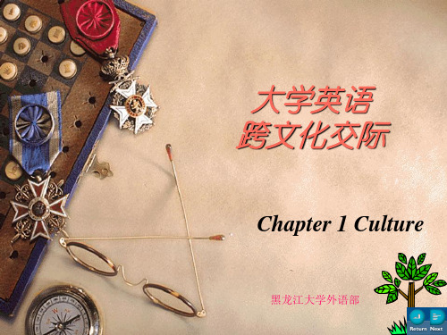 跨文化交际-黑龙江大学-崔常亮老师-chapter1-2分析