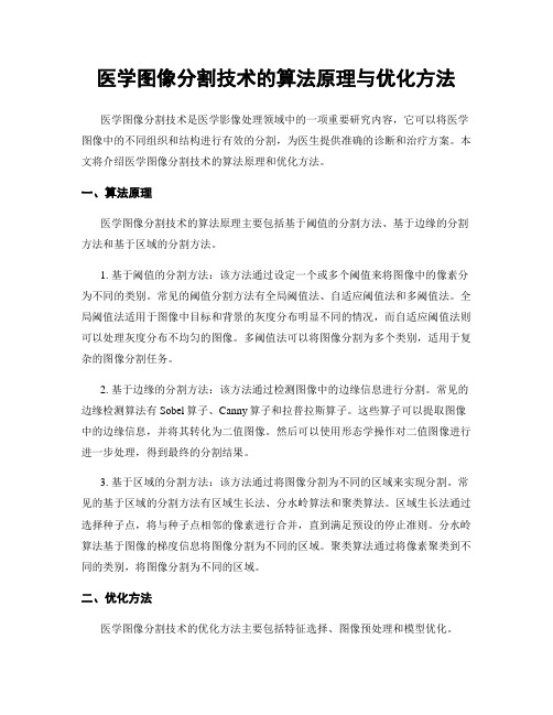 医学图像分割技术的算法原理与优化方法