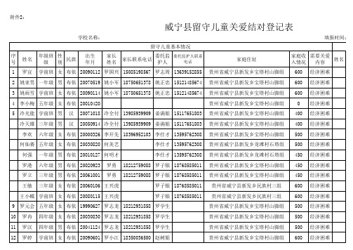 汪俊威宁县留守儿童表统计表