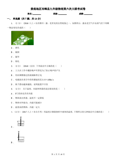 娄底地区双峰县九年级物理第六次大联考试卷