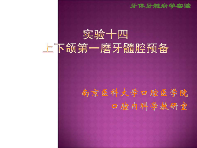 下颌第一磨牙髓腔预备