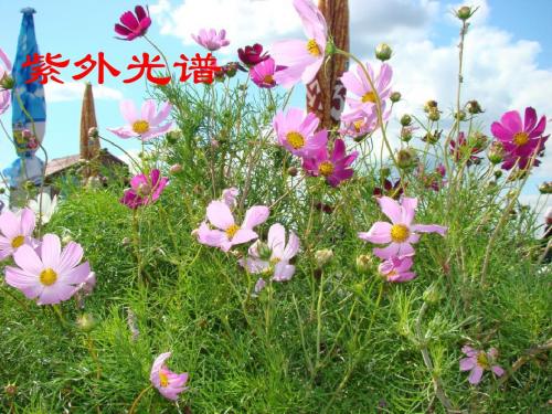 紫外光谱详解