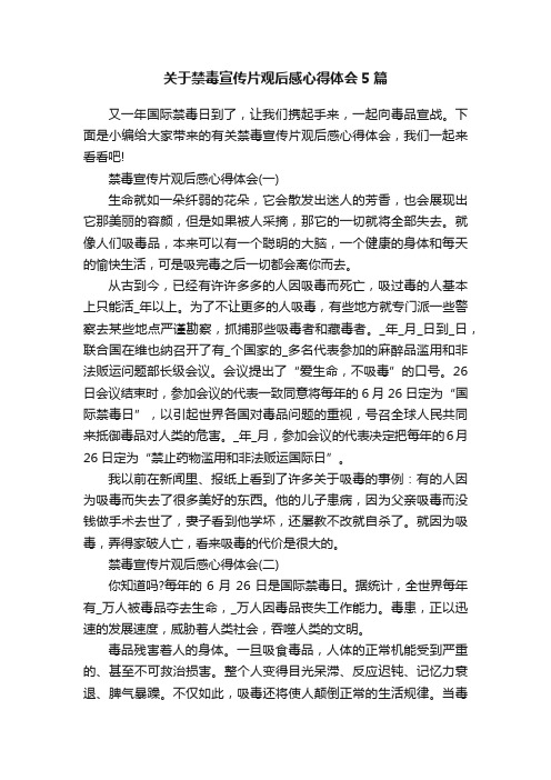 关于禁毒宣传片观后感心得体会5篇