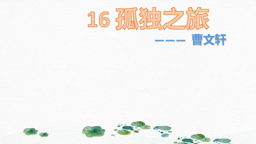 最新人教部编版九年级上册语文 第16课《孤独之旅》(共38张PPT)