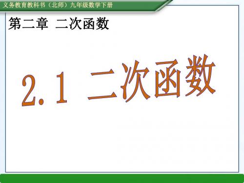 2016年春新北师大版九年级数学下册 2.1二次函数(共22张PPT)