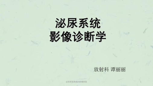泌尿系统疾病的影像表现课件