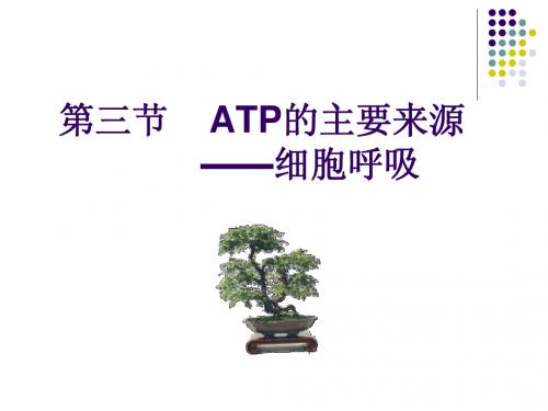 人教版教学课件云南省弥勒县庆来中学2011-2012学年高一生物 atp的主要来源(课件)