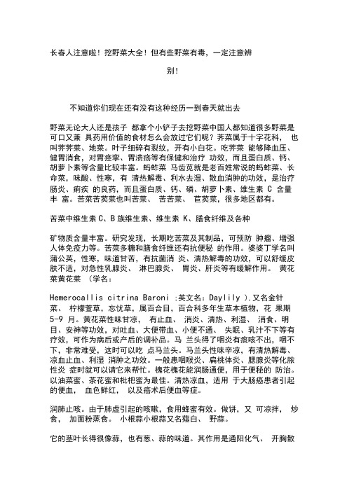 长春人注意啦!挖野菜大全!但有些野菜有毒,一定注意辨别!