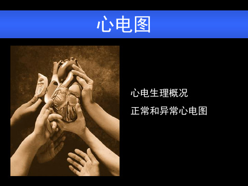ECG基础知识1