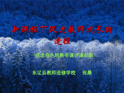 新课程下促进教师成长新途径