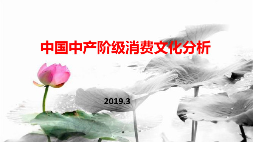 中国中产阶级消费文化分析