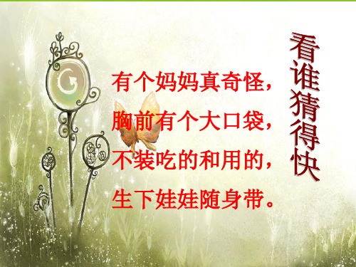 一年级下册美术课件-8.袋鼠妈妈的口袋 湘美版
