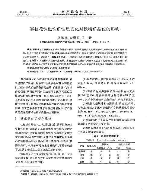 攀枝花钛磁铁矿性质变化对铁精矿品位的影响