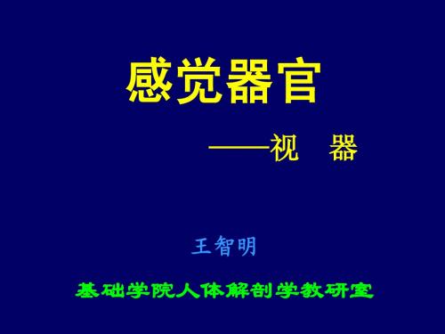 感觉器官--视器