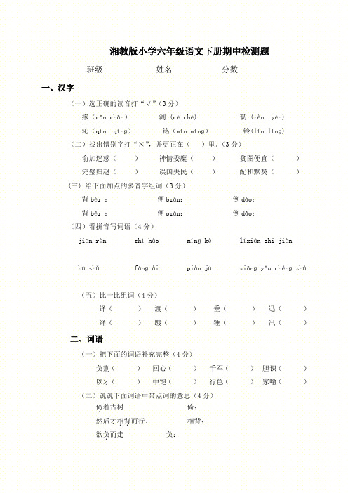 湘教版六年级下册语文期中试卷测试题