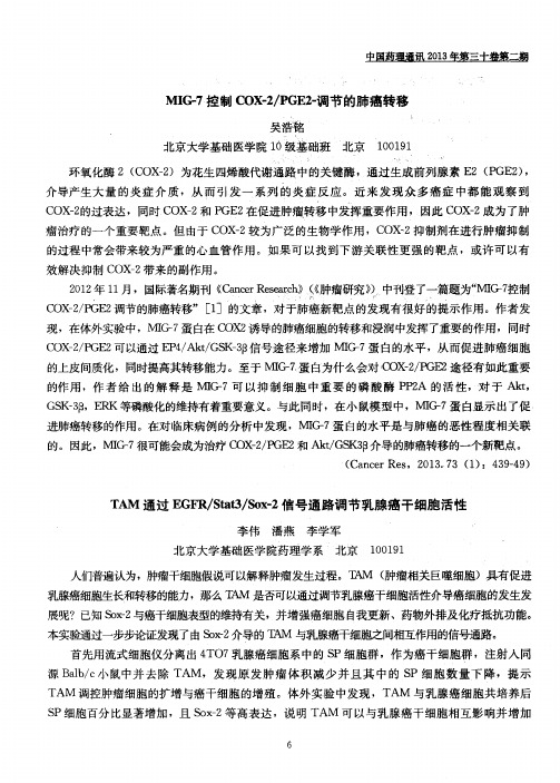 TAM通过勰／Stat3／Sox-2信号通路调节乳腺癌干细胞活性