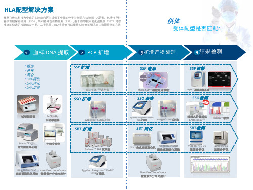 HLA配型解决方案