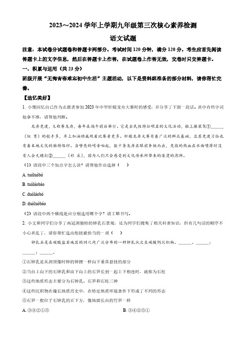 河南省许昌市2023-2024学年九年级上学期第三次月考语文试题(原卷版)