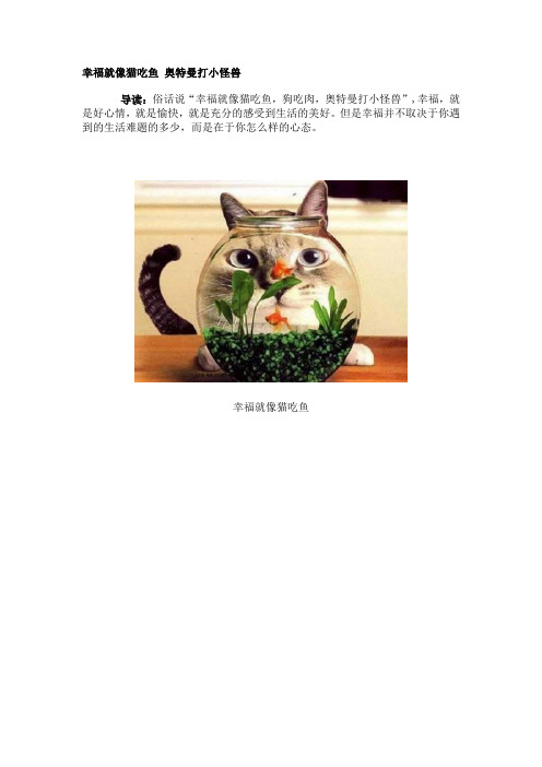 幸福就像猫吃鱼 奥特曼打小怪兽