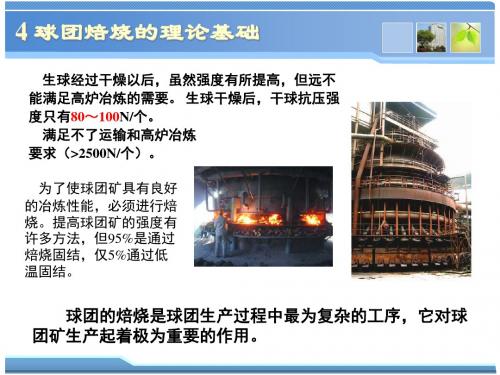 球团理论与工艺4球团焙烧的理论基础-文档资料