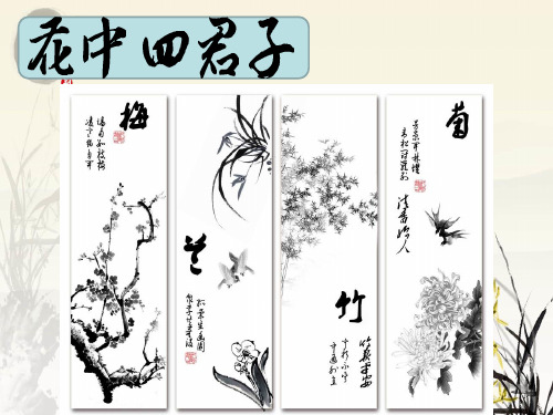 初中语文_失根的兰花教学课件设计
