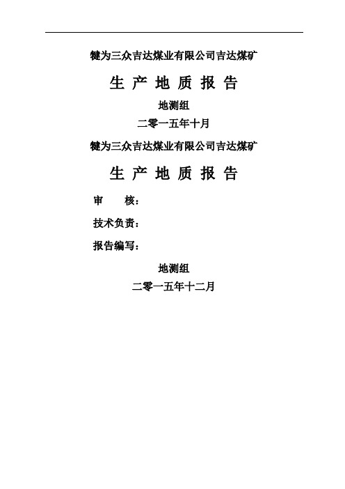 生产地质报告