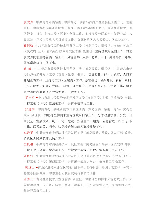 青岛开发区领导分工